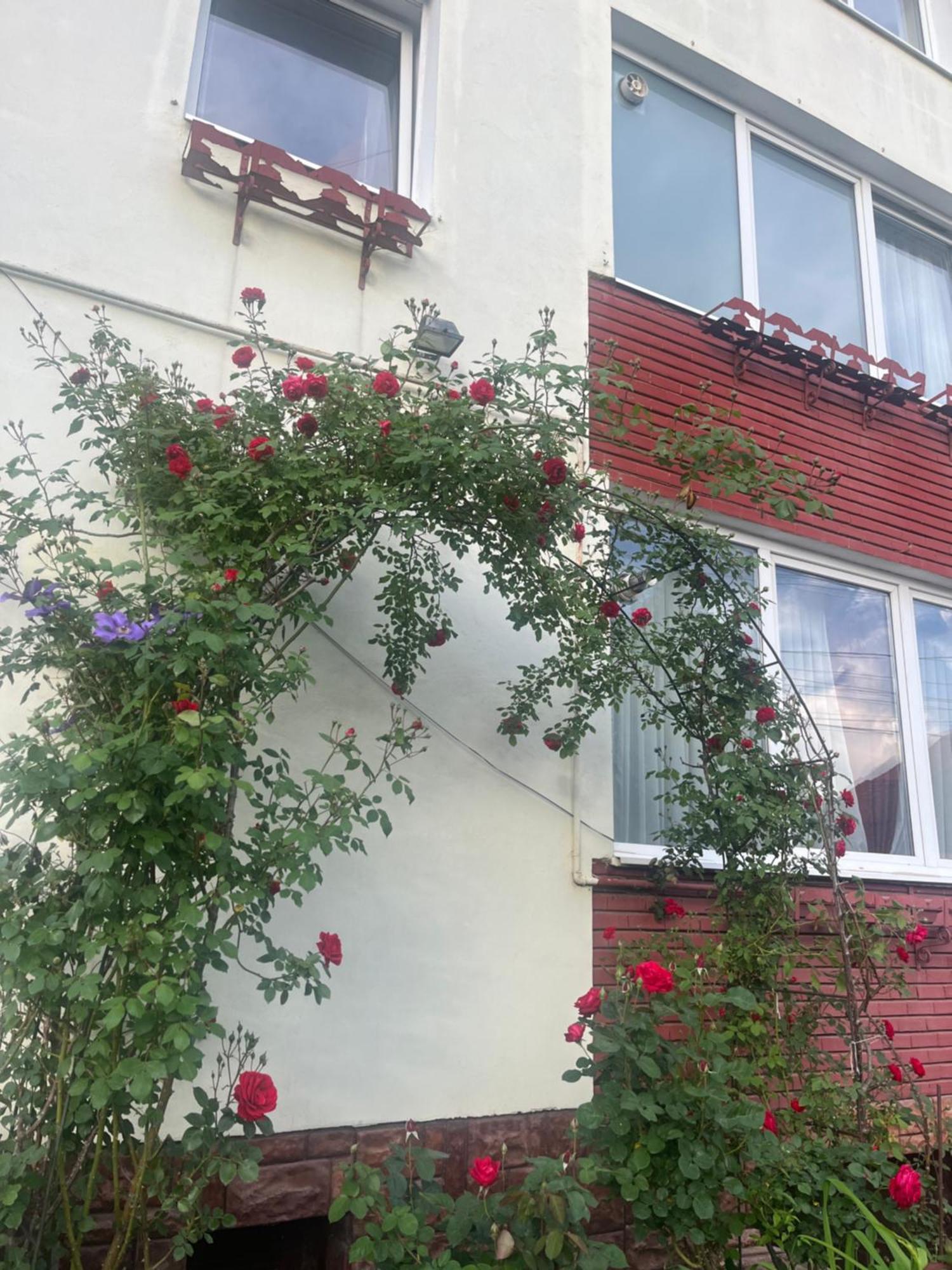 Casa Conti Ξενοδοχείο Σίμπιου Εξωτερικό φωτογραφία